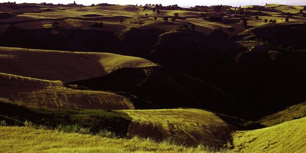 乌海市湘莲罐头学生